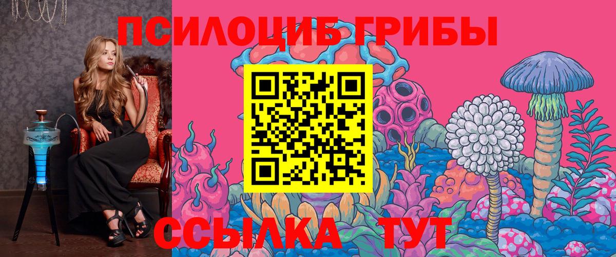 Псилоцибиновые грибы Psilocybe  Вход с VPN  Сланцы 